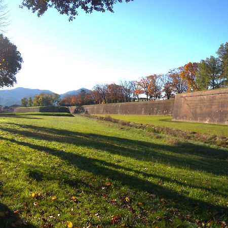 Appartamento Via Grandi - Free Gated Parking - 5 Minutes From Center Lucca Exterior foto